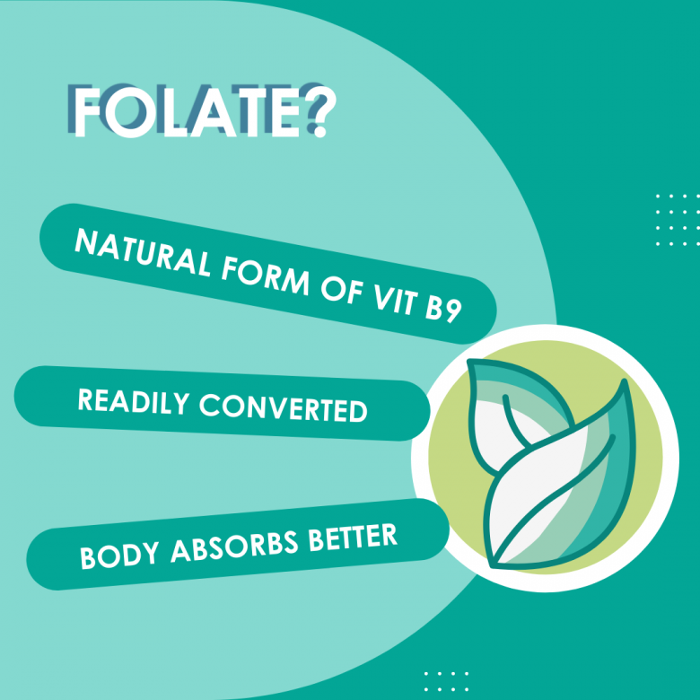 9 Folic Acid VS Folate Sperm Health Quality Men   Diff Folic Folate 2 780x780 