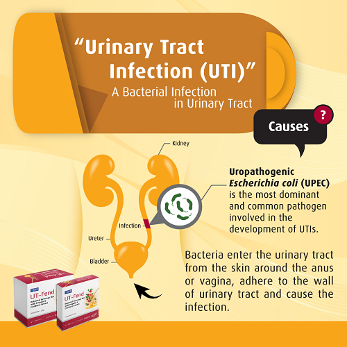 cause of urinary tract infection