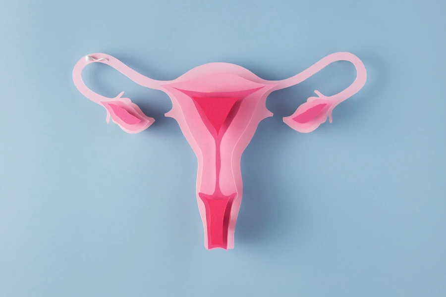 uterus infertility